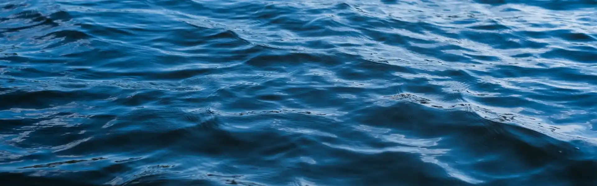 Global Sustainability