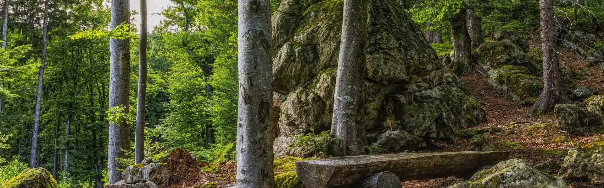 Green Quality and Promise